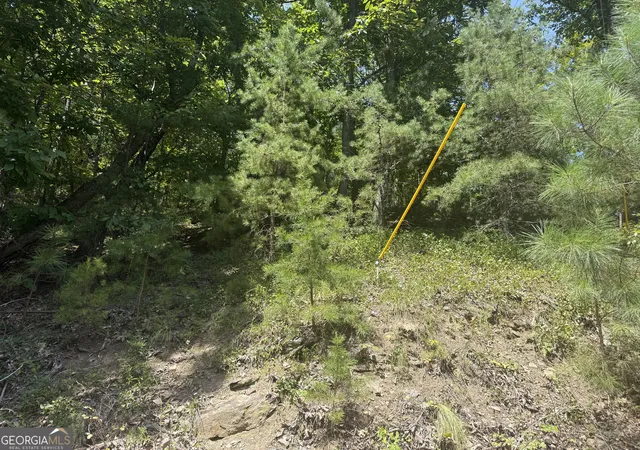 1st image of 347 Meteor Ct Ne, Ranger, GA 30734 | MLS# 10827476