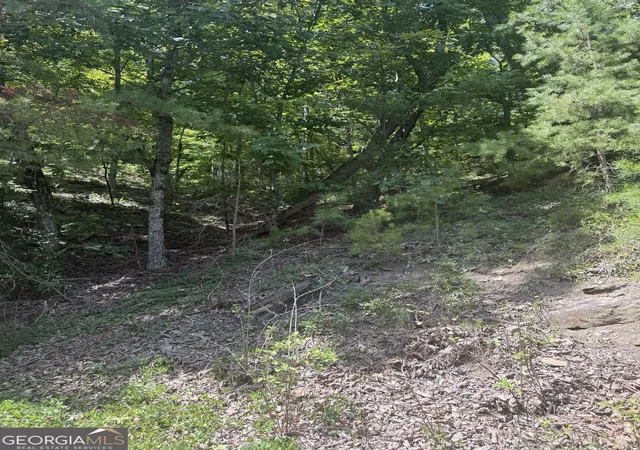 2nd image of 347 Meteor Ct Ne, Ranger, GA 30734 | MLS# 10827476