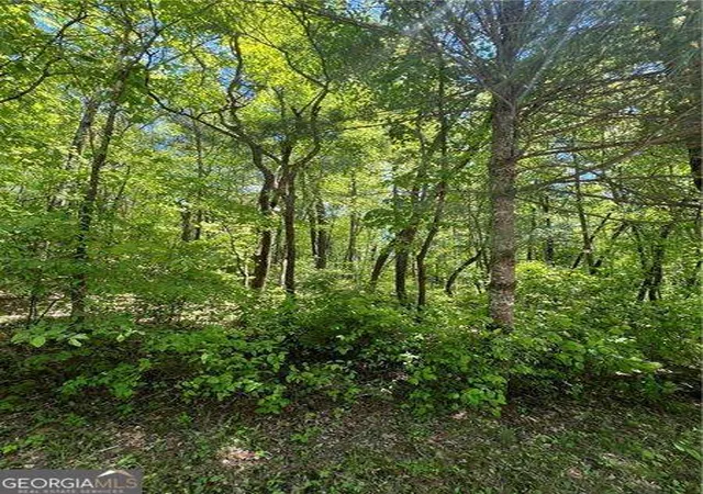Photo 3 of Land for sale at 0 Sunrise Valley Rd, Blue Ridge, GA 30513 | MLS# 10758340 | Listing updated on 2026-05-20