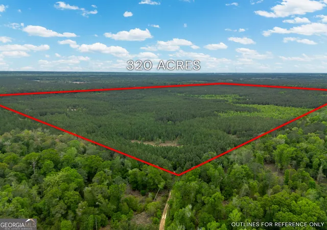 Homes for sale in Abbeville, GA | 0 Hwy 129, Abbeville, GA 31001 | MLS# 10729840