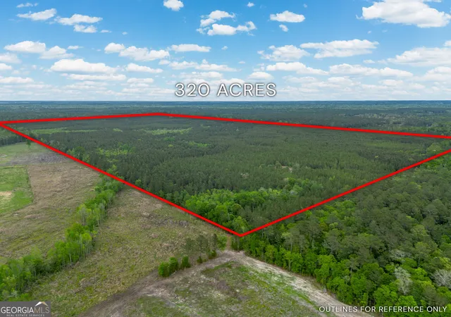 Homes for sale in Abbeville, GA | 0 Hwy 129, Abbeville, GA 31001 | MLS# 10729840