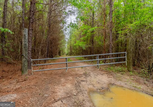 Homes for sale in Abbeville, GA | 0 Hwy 129, Abbeville, GA 31001 | MLS# 10729840