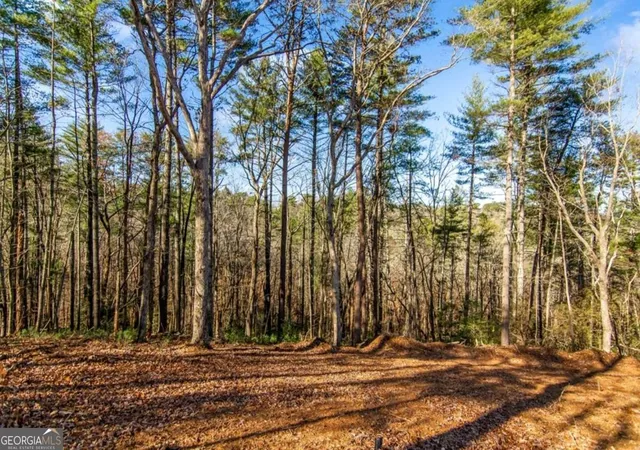 Homes for sale in Ellijay, GA | Lt 10R Whispering Oaks Dr #10R, Ellijay, GA 30540 | MLS# 10687903