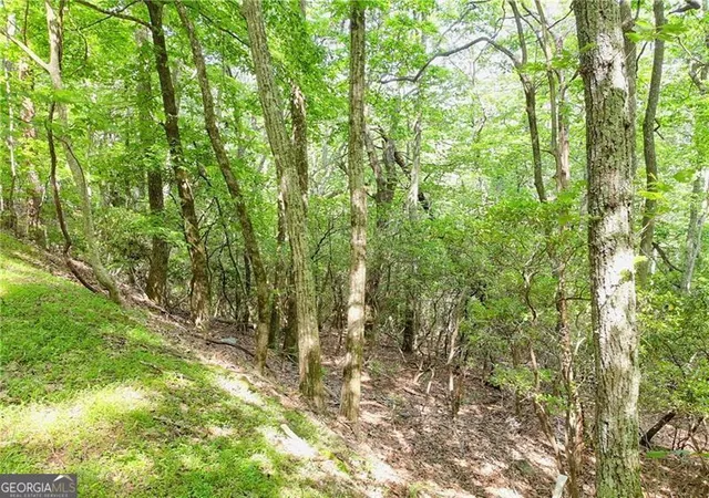Photo 18 of Land for sale at 3023 Wild Turkey Blf, Jasper, GA 30143 | MLS# 10230976 | Listing updated on 2026-02-26