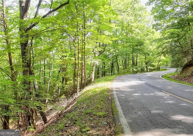 Photo 3 of Land for sale at 3023 Wild Turkey Blf, Jasper, GA 30143 | MLS# 10230976 | Listing updated on 2026-02-26