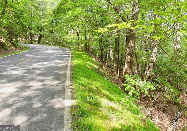 Photo 3 of Land for sale at 3023 Wild Turkey Blf, Jasper, GA 30143 | MLS# 10230976 | Listing updated on 2026-02-26