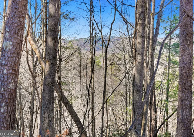 Photo 3 of Land for sale at 0 Ml Run, Sautee Nacoochee, GA 30571 | MLS# 10717942 | Listing updated on 2026-09-14