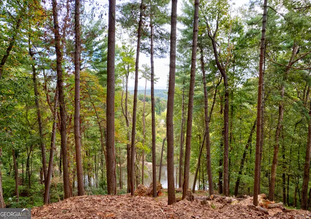 Photo 4 of Land for sale at Lot 99r Ponca Ct, Ellijay, GA 30540 | MLS# 10754256 | Listing updated on 2026-09-30