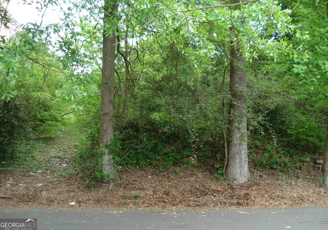 3rd image of 0 Morehouse Dr Nw, Atlanta, GA 30314 | MLS# 10454268