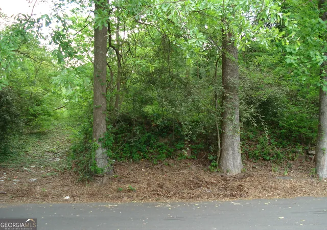 4th image of 0 Morehouse Dr Nw, Atlanta, GA 30314 | MLS# 10454268
