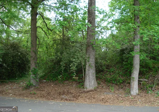 5th image of 0 Morehouse Dr Nw, Atlanta, GA 30314 | MLS# 10454268