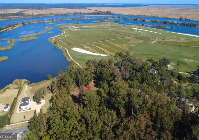Photo 4 of Land for sale at 166 Little Lulu Ln, Richmond Hill, GA 31324 | MLS# 10645431 | Listing updated on 2025-12-01