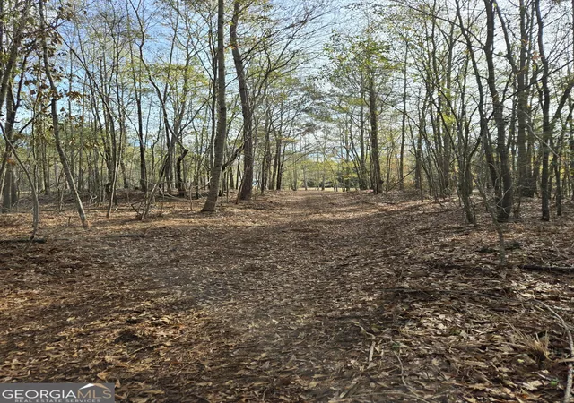 1st image of 00 Yatesville R Yatesville Rd, Yatesville, GA 31097 | MLS# 10773709