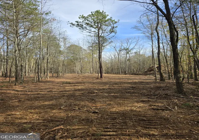 2nd image of 00 Yatesville R Yatesville Rd, Yatesville, GA 31097 | MLS# 10773709
