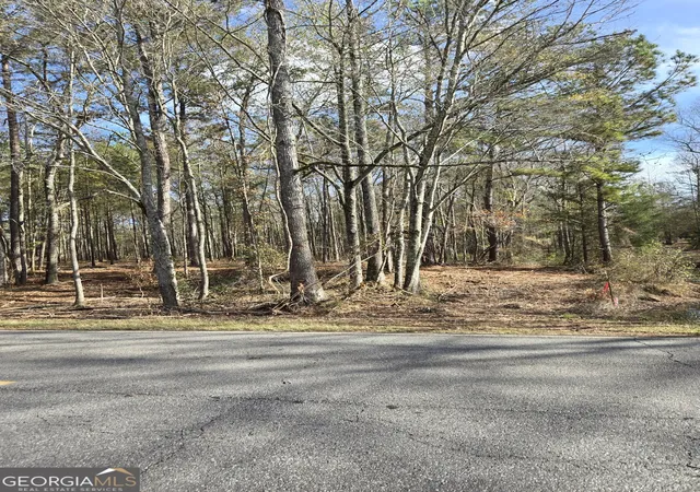 3rd image of 00 Yatesville R Yatesville Rd, Yatesville, GA 31097 | MLS# 10773709