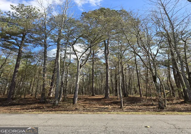 4th image of 00 Yatesville R Yatesville Rd, Yatesville, GA 31097 | MLS# 10773709