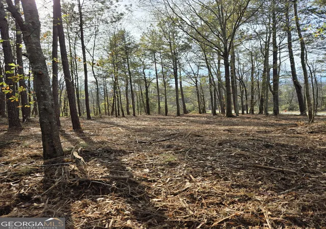 5th image of 00 Yatesville R Yatesville Rd, Yatesville, GA 31097 | MLS# 10773709