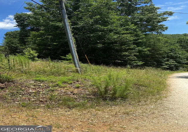 Homes for sale in Clermont, GA | Lot 30 Wauka Ridge Rd, Clermont, GA 30527 | MLS# 10798761