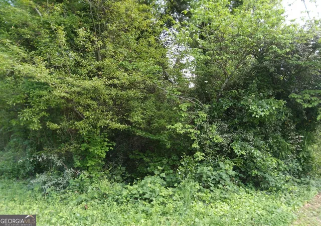 Photo 3 of Land for sale at 2675 Sandtown Rd, Marietta, GA 30060 | MLS# 10311541 | Listing updated on 2026-06-30