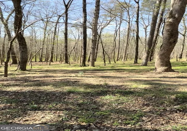 Photo 2 of Land for sale at 0 Ike Stone, Monroe, GA 30656 | MLS# 10826715 | Listing updated on 2026-08-29