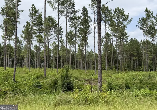 1st image of 006 Old Monticello Rd, Milledgeville, GA 31061 | MLS# 10811688