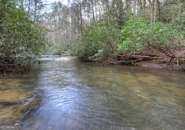 Photo 3 of Single family home for sale at 266 River Rd, Cherry Log, GA 30522 | MLS# 10720428 | Listing updated on 2026-08-05
