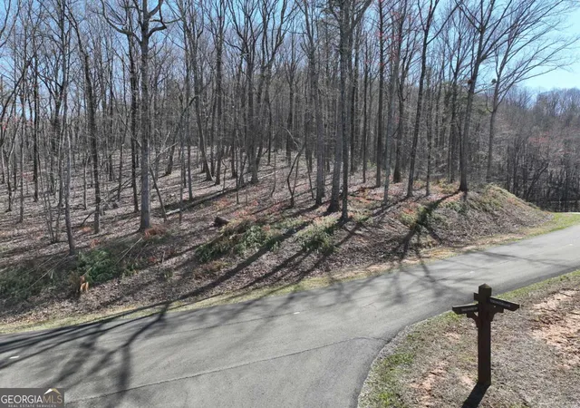 Photo 1 of Land for sale at 180 Trailwood Dr, Ellijay, GA 30536 | MLS# 10787804 | Listing updated on 2026-10-27
