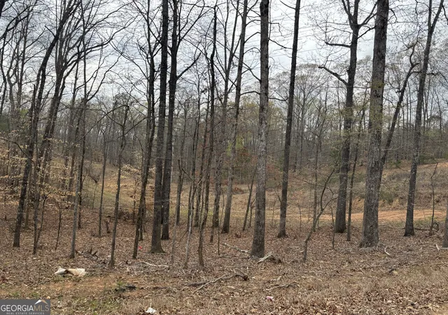 Photo 1 of Land for sale at 0 Summer Lake Rd, Lithia Springs, GA 30122 | MLS# 10495106 | Listing updated on 2026-04-23
