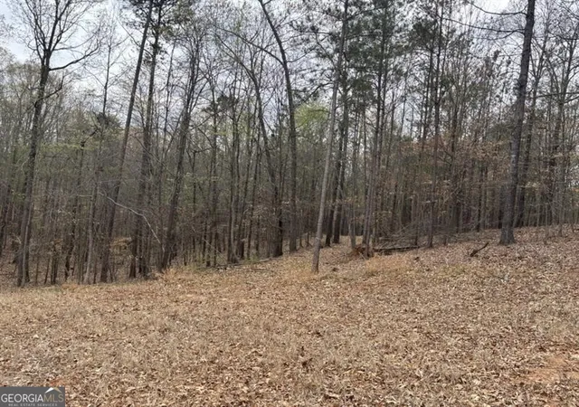 Photo 2 of Land for sale at 0 Summer Lake Rd, Lithia Springs, GA 30122 | MLS# 10495106 | Listing updated on 2026-04-23