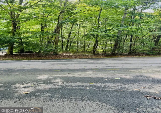 Photo 2 of Land for sale at 2521 N Carroll Ct, Villa Rica, GA 30180 | MLS# 10826831 | Listing updated on 2026-08-29