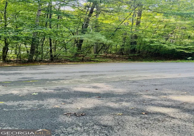 Photo 3 of Land for sale at 2521 N Carroll Ct, Villa Rica, GA 30180 | MLS# 10826831 | Listing updated on 2026-08-29