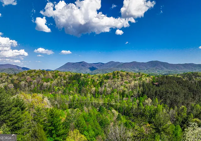 2nd image of 43 S Dustin Dr, Ellijay, GA 30540 | MLS# 10818701