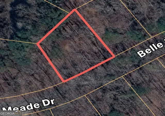 Photo 11 of Land for sale at 6195 Belle Meade Dr, Villa Rica, GA 30180 | MLS# 10830053 | Listing updated on 2026-09-03