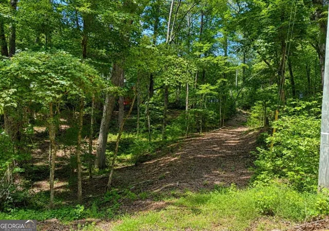 Photo 1 of Land for sale at 6195 Belle Meade Dr, Villa Rica, GA 30180 | MLS# 10830053 | Listing updated on 2026-09-03