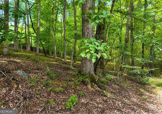 Photo 2 of Land for sale at 6195 Belle Meade Dr, Villa Rica, GA 30180 | MLS# 10830053 | Listing updated on 2026-09-03