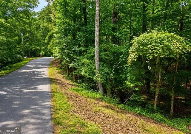 Photo 3 of Land for sale at 6195 Belle Meade Dr, Villa Rica, GA 30180 | MLS# 10830053 | Listing updated on 2026-09-03