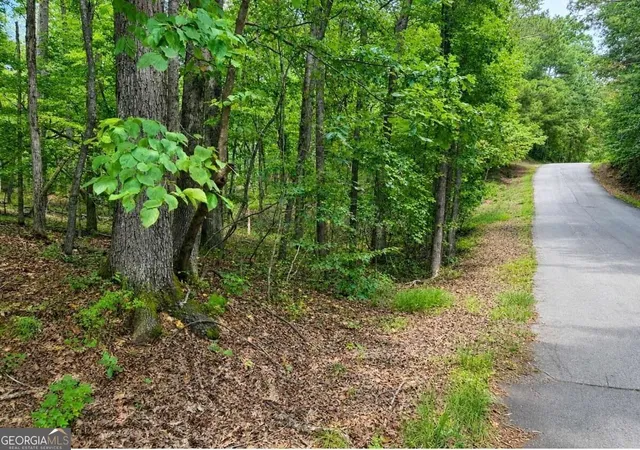 Photo 3 of Land for sale at 6195 Belle Meade Dr, Villa Rica, GA 30180 | MLS# 10830053 | Listing updated on 2026-09-03