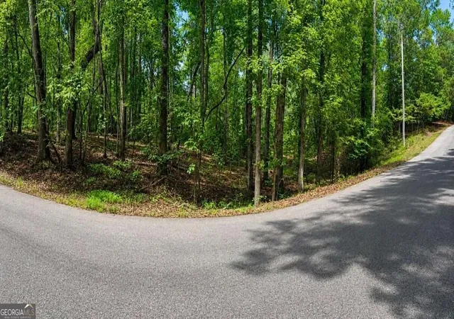 Photo 4 of Land for sale at 6195 Belle Meade Dr, Villa Rica, GA 30180 | MLS# 10830053 | Listing updated on 2026-09-03