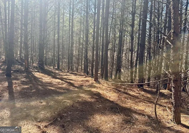 Photo 10 of Land for sale at 555 Larmon Forks Rd, Dahlonega, GA 30533 | MLS# 10800221 | Listing updated on 2026-07-21