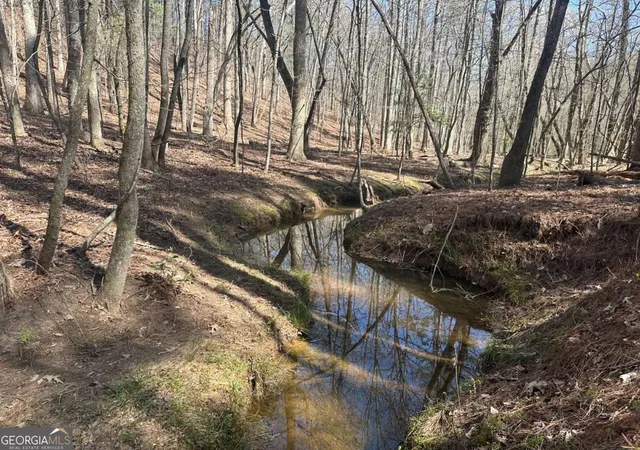 Photo 1 of Land for sale at 555 Larmon Forks Rd, Dahlonega, GA 30533 | MLS# 10800221 | Listing updated on 2026-07-21