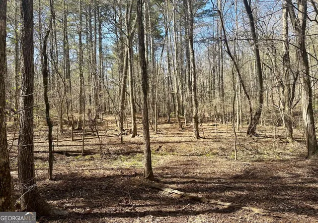 Photo 2 of Land for sale at 555 Larmon Forks Rd, Dahlonega, GA 30533 | MLS# 10800221 | Listing updated on 2026-07-21