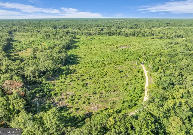 Land for sale at 0 Brook Rd, Jesup, GA 31545 | MLS# 10836881