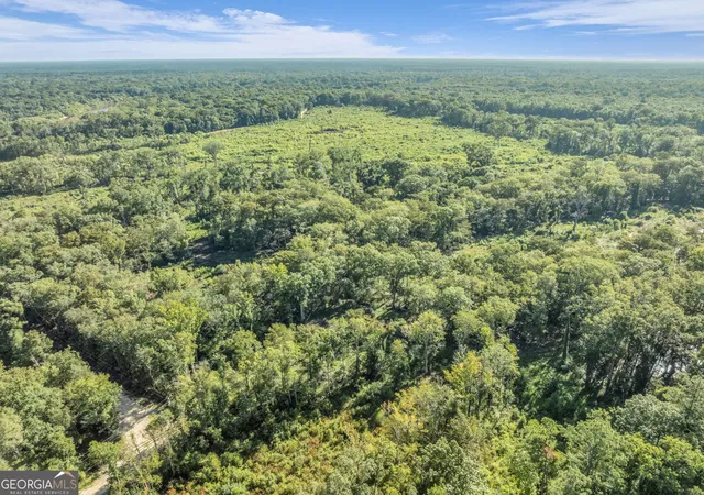 Photo 2 of Land for sale at 0 Brook Rd, Jesup, GA 31545 | MLS# 10836881 | Listing updated on 2026-09-23