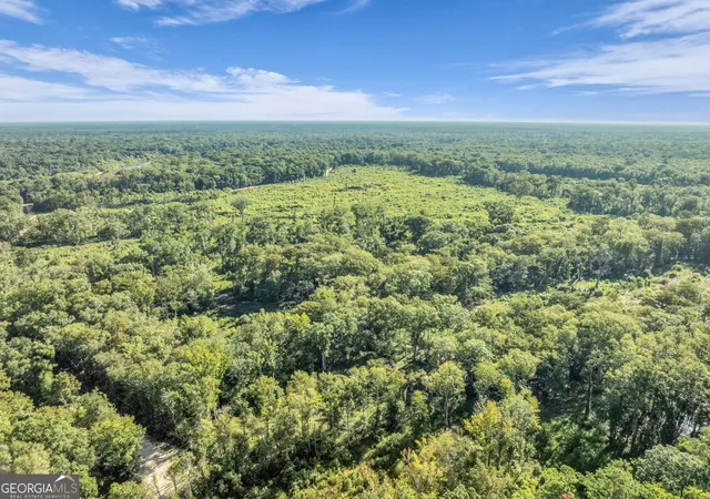 Photo 3 of Land for sale at 0 Brook Rd, Jesup, GA 31545 | MLS# 10836881 | Listing updated on 2026-09-23