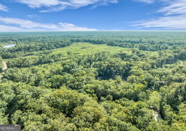 Photo 3 of Land for sale at 0 Brook Rd, Jesup, GA 31545 | MLS# 10836881 | Listing updated on 2026-09-23