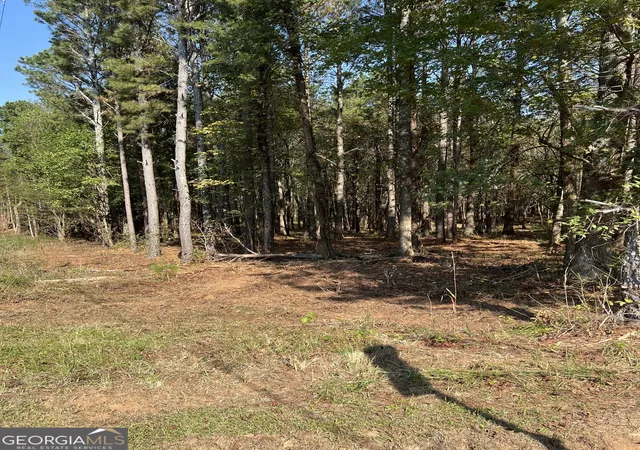 12th image of 850 Browning Rd, Fairmount, GA 30139 | MLS# 10522913