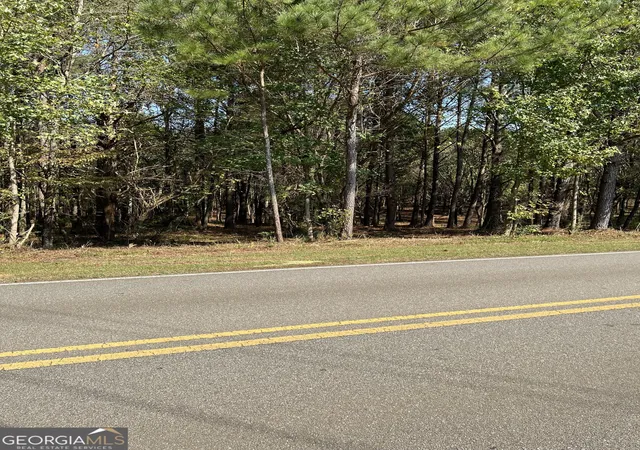 2nd image of 850 Browning Rd, Fairmount, GA 30139 | MLS# 10522913