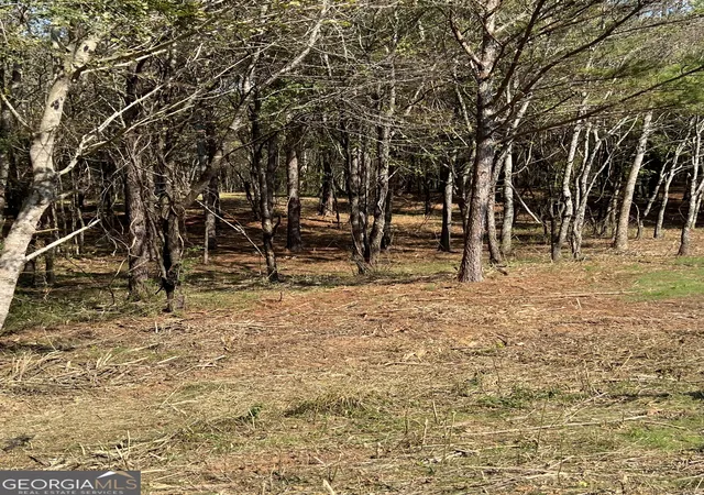 5th image of 850 Browning Rd, Fairmount, GA 30139 | MLS# 10522913