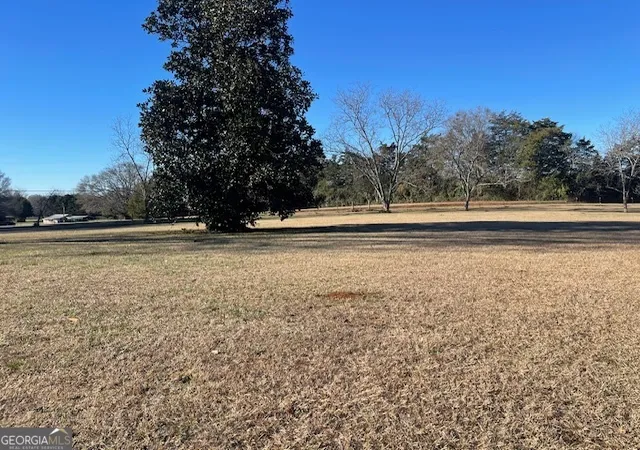 30th image of 425 Trice Cemetery Road, Thomaston, GA 30286 | MLS# 10674122