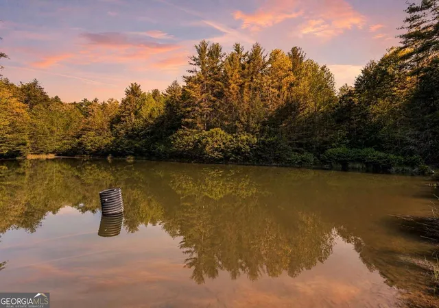 1st image of 40 Ac #1 Valley Lake Rd #MULTIPLE, Mineral Bluff, GA 30559 | MLS# 10824223